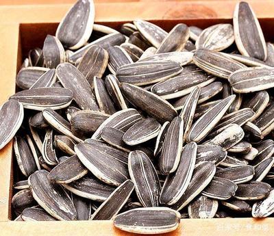 在家也能制做出美味可口香瓜子,沒(méi)有耐心