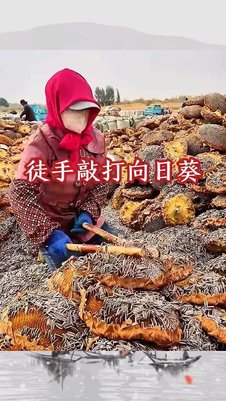 打手瓜子全新口味.打手瓜子!大顆粒五香瓜子,古